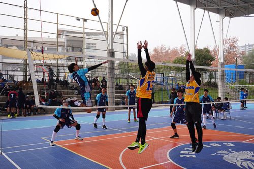 Vóleibol Intermedia Varones – Olimpiadas BostonEduca 2025