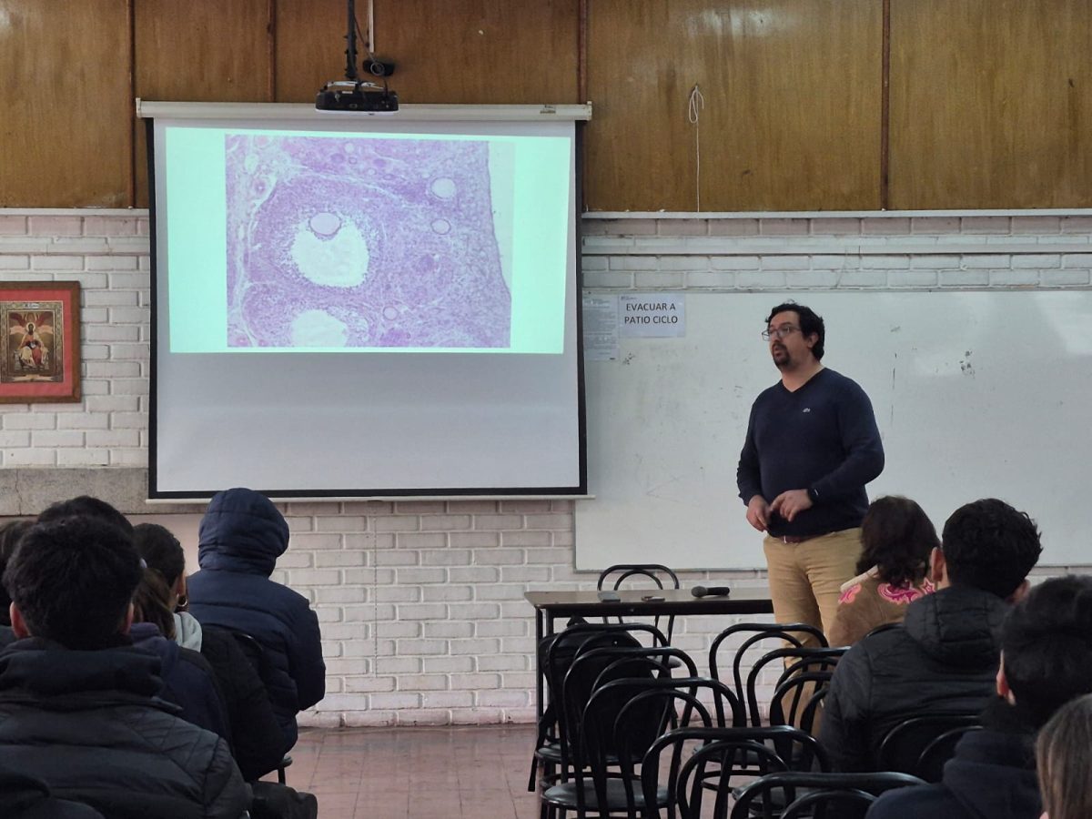 Una experiencia universitaria en nuestro colegio