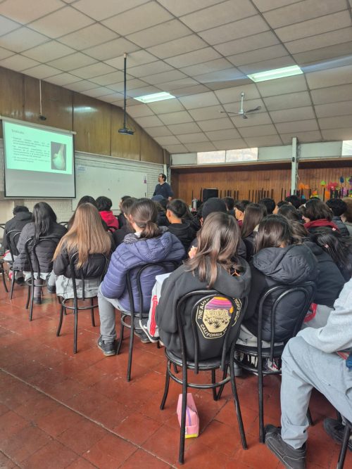 Una Experiencia Universitaria