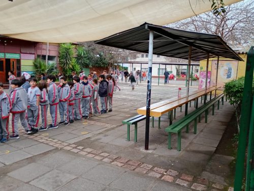 Simulacro de sismo de mayor intensidad