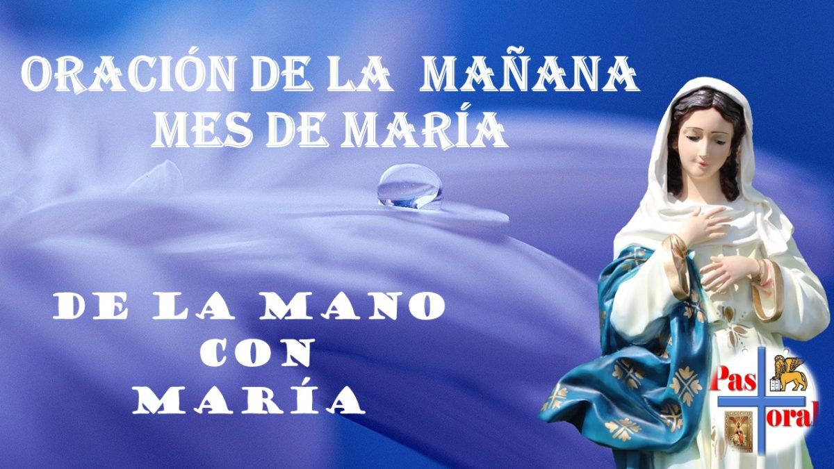 Oración de la mañana del 3 al 7 de noviembre