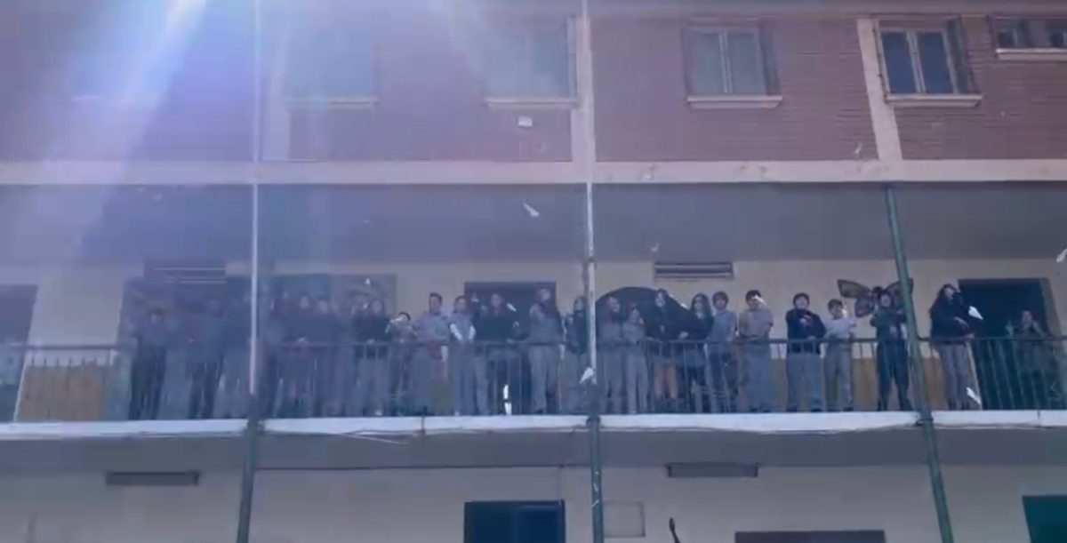 Actividad Volando en V