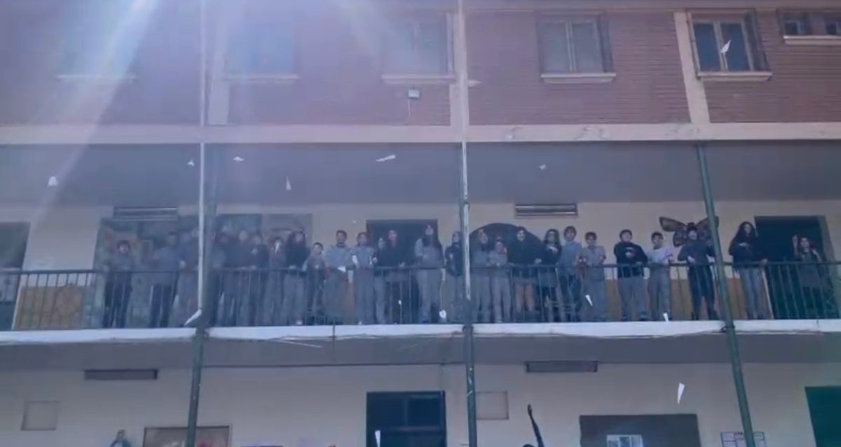 Actividad Volando en V