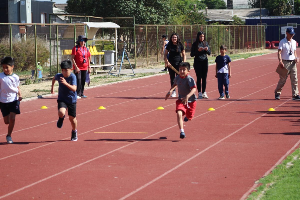 Gran desempeño de nuestros estudiantes en la última fecha de las Olimpiadas Boston Educa