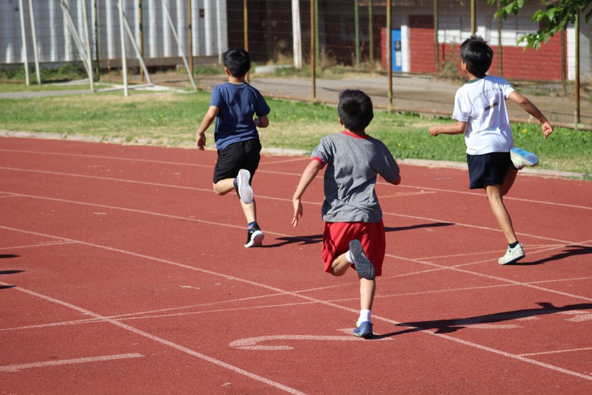 Gran desempeño de nuestros estudiantes en la última fecha de las Olimpiadas Boston Educa