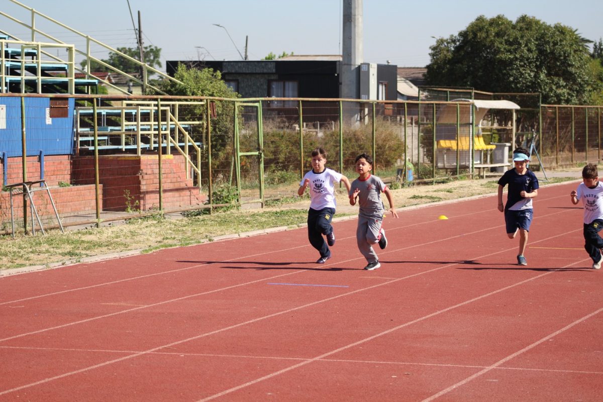 Gran desempeño de nuestros estudiantes en la última fecha de las Olimpiadas Boston Educa