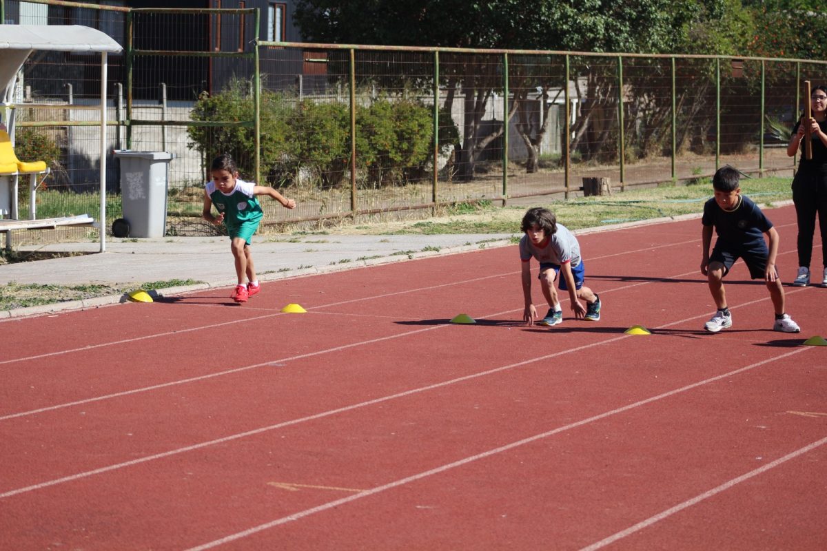 Gran desempeño de nuestros estudiantes en la última fecha de las Olimpiadas Boston Educa