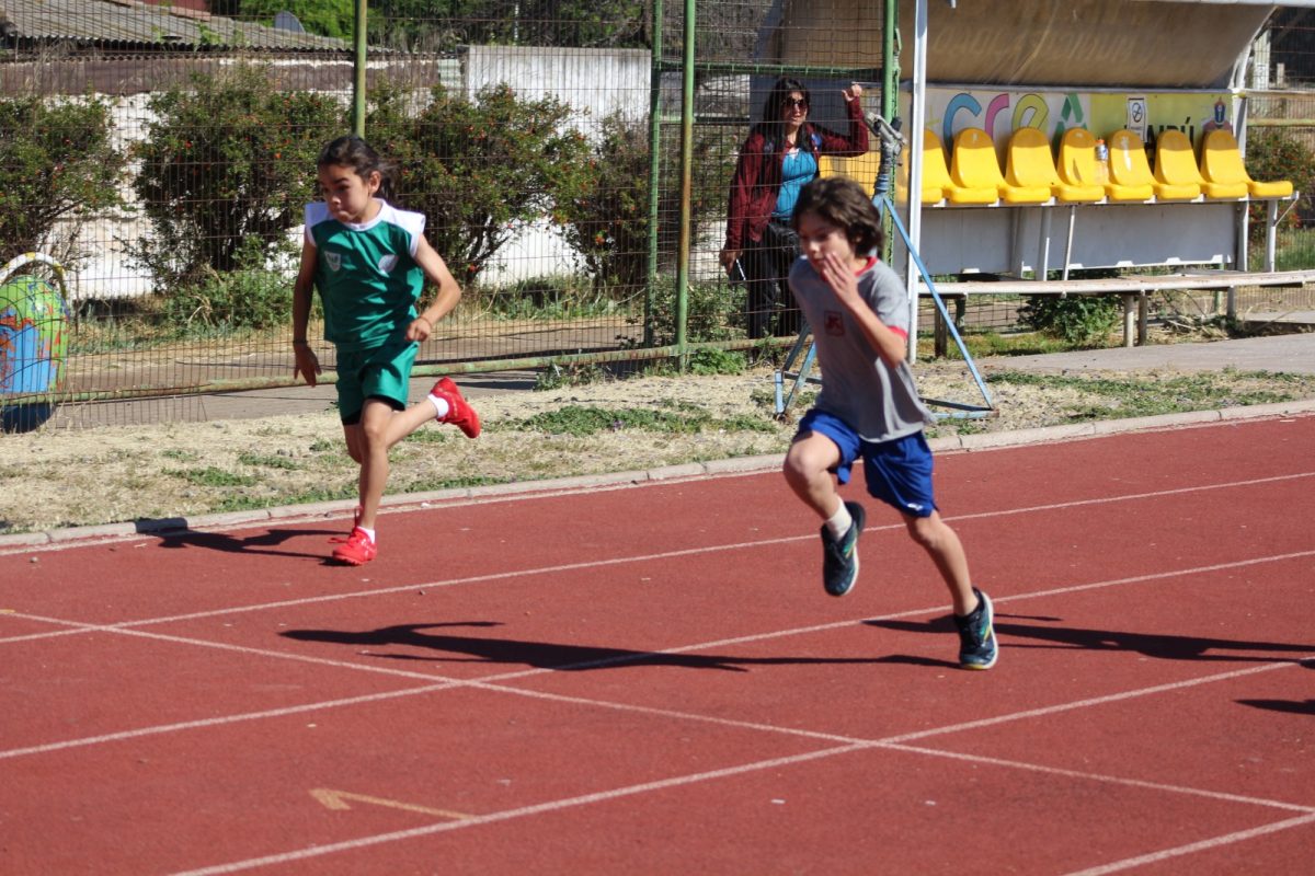 Gran desempeño de nuestros estudiantes en la última fecha de las Olimpiadas Boston Educa