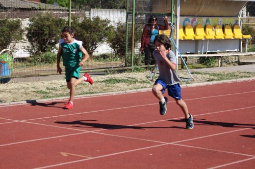 Gran desempeño de nuestros estudiantes en la última fecha de las Olimpiadas Boston Educa