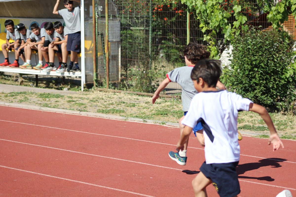 Gran desempeño de nuestros estudiantes en la última fecha de las Olimpiadas Boston Educa