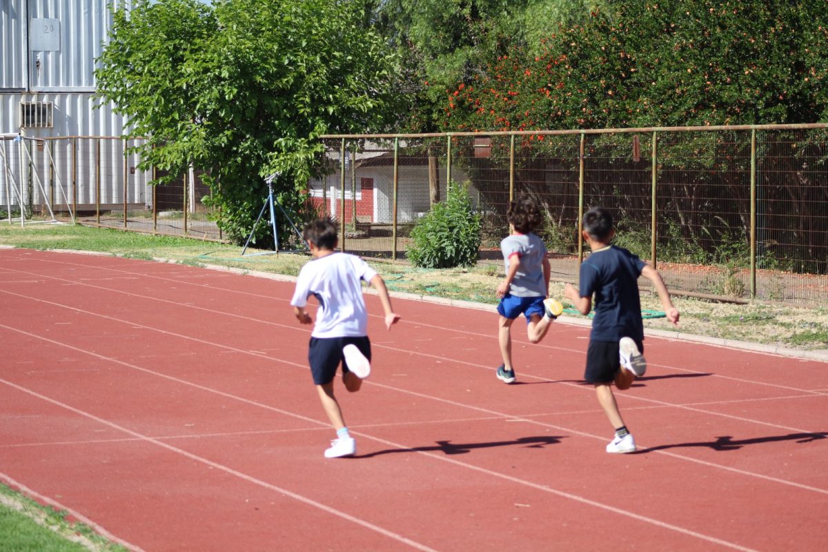 Gran desempeño de nuestros estudiantes en la última fecha de las Olimpiadas Boston Educa