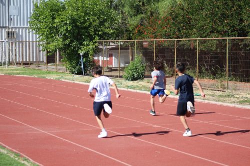 Gran desempeño de nuestros estudiantes en la última fecha de las Olimpiadas Boston Educa