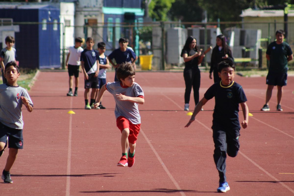 Gran desempeño de nuestros estudiantes en la última fecha de las Olimpiadas Boston Educa