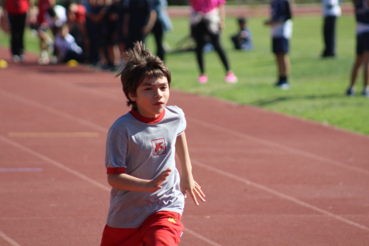 Gran desempeño de nuestros estudiantes en la última fecha de las Olimpiadas Boston Educa