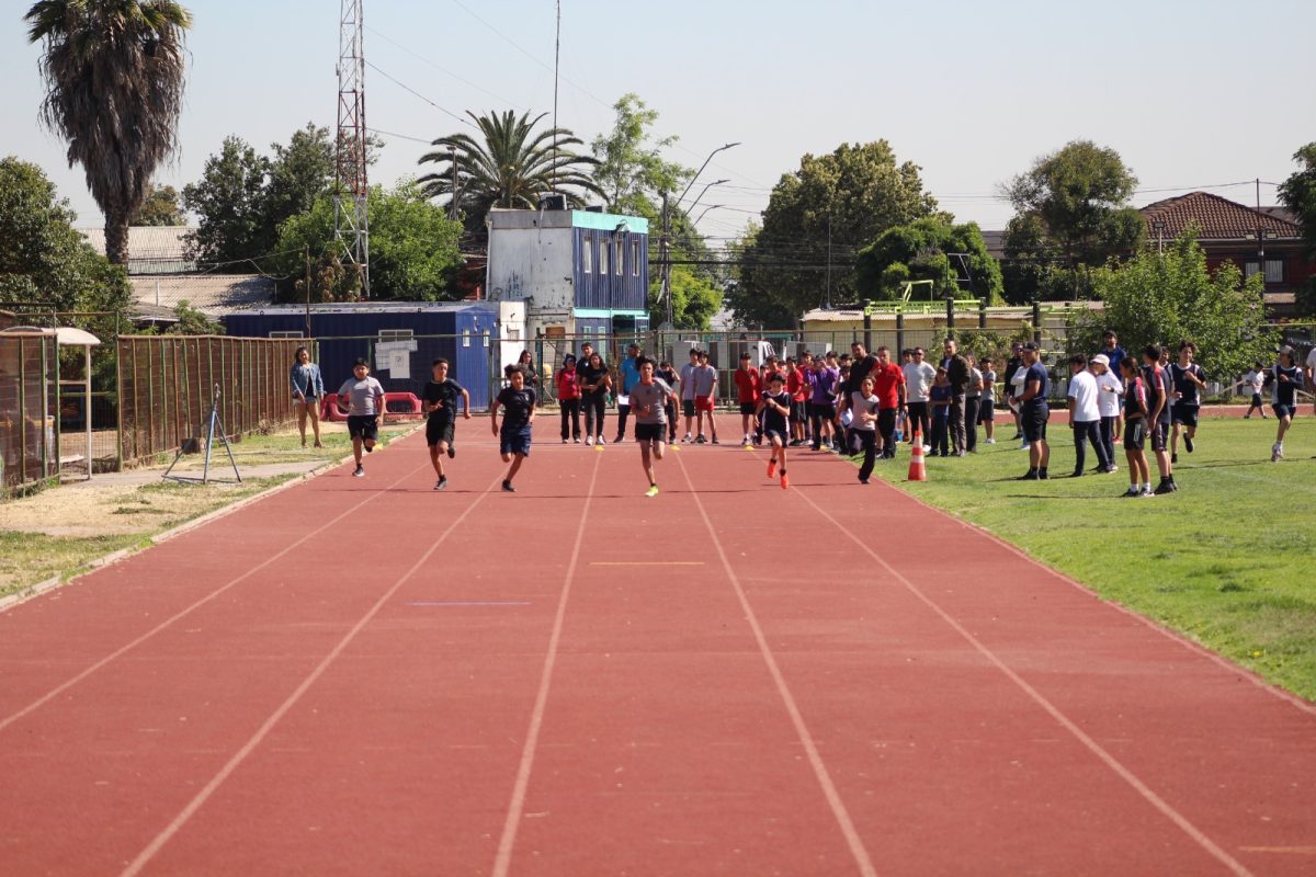 Gran desempeño de nuestros estudiantes en la última fecha de las Olimpiadas Boston Educa
