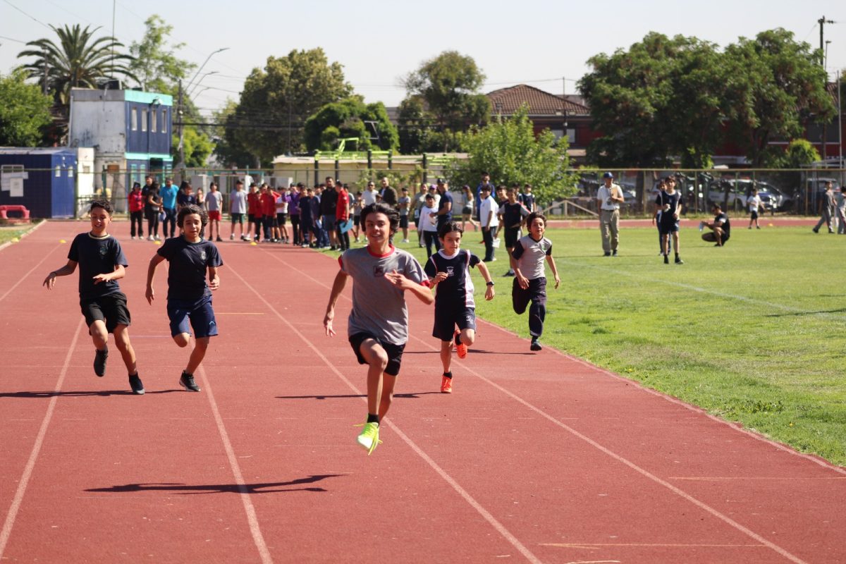 Gran desempeño de nuestros estudiantes en la última fecha de las Olimpiadas Boston Educa