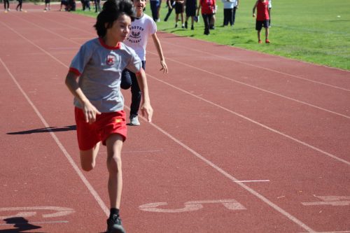 Gran desempeño de nuestros estudiantes en la última fecha de las Olimpiadas Boston Educa