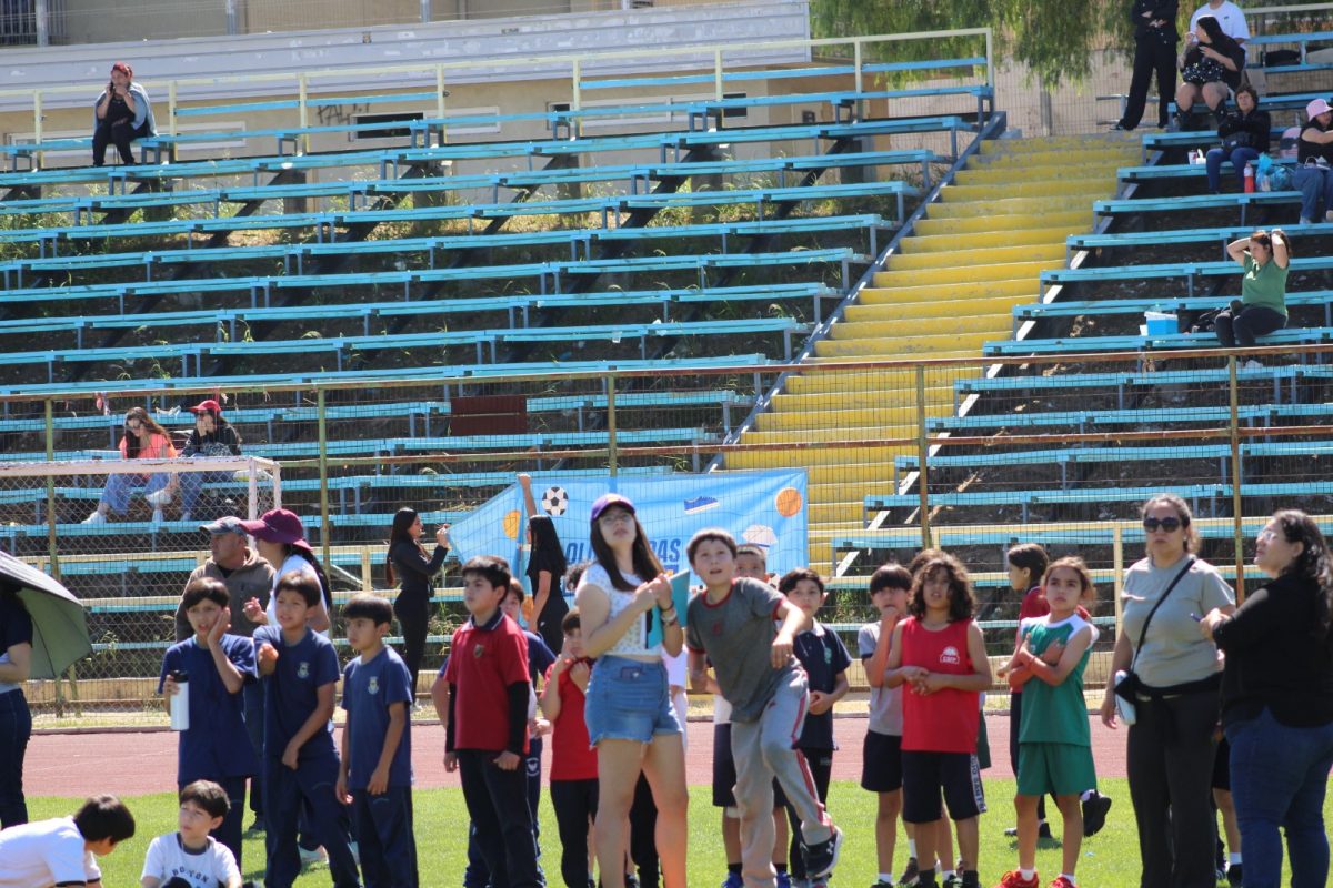 Gran desempeño de nuestros estudiantes en la última fecha de las Olimpiadas Boston Educa