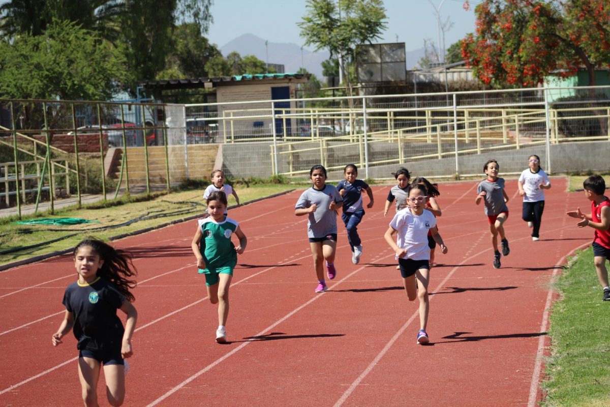 Gran desempeño de nuestros estudiantes en la última fecha de las Olimpiadas Boston Educa