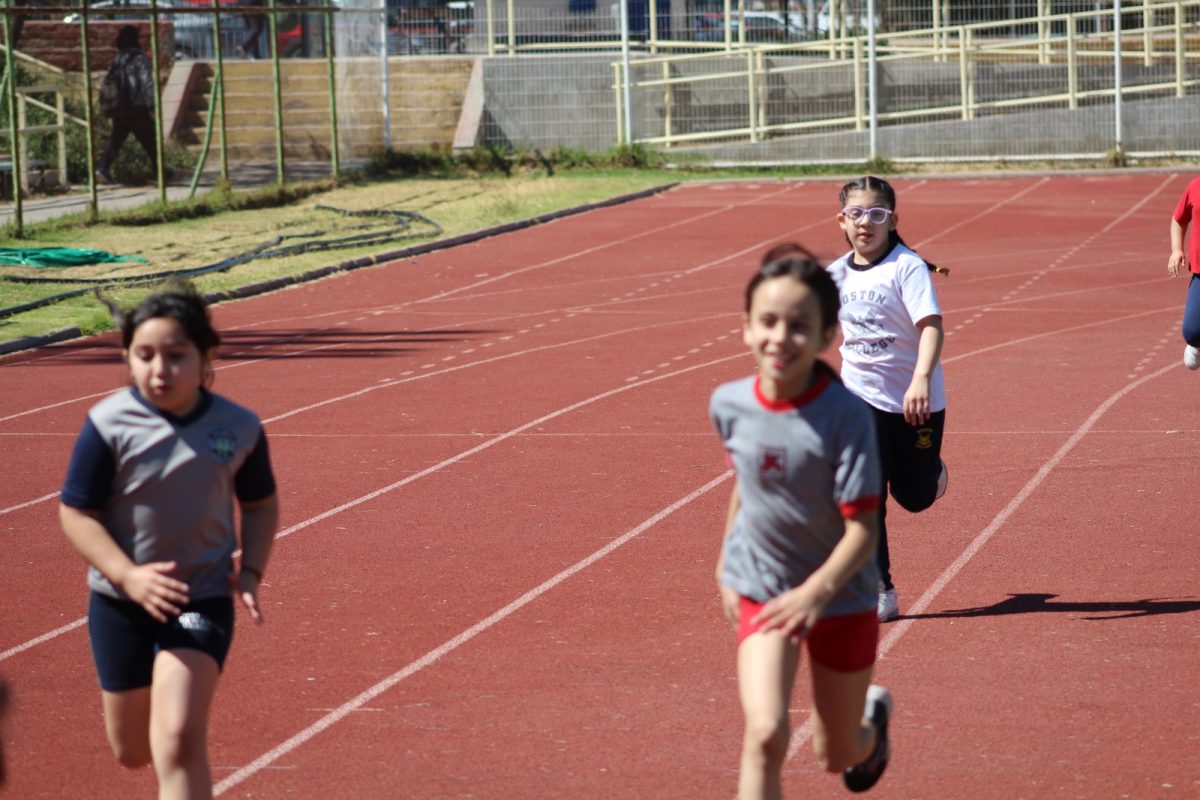 Gran desempeño de nuestros estudiantes en la última fecha de las Olimpiadas Boston Educa