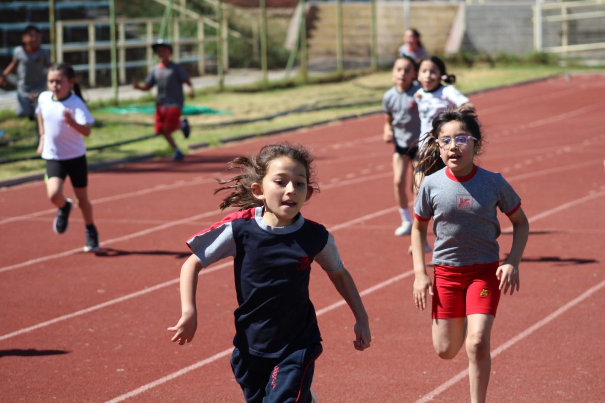 Gran desempeño de nuestros estudiantes en la última fecha de las Olimpiadas Boston Educa