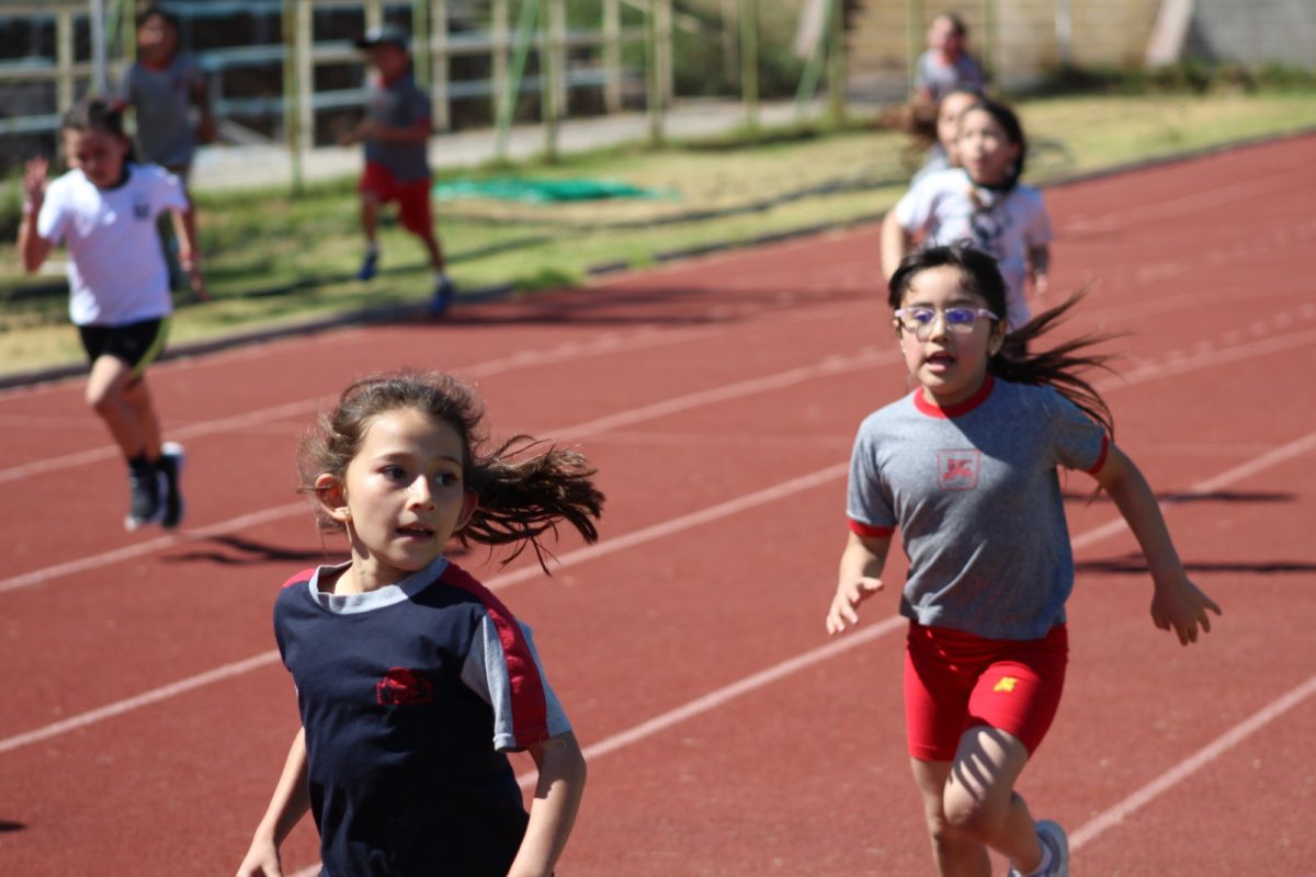 Gran desempeño de nuestros estudiantes en la última fecha de las Olimpiadas Boston Educa
