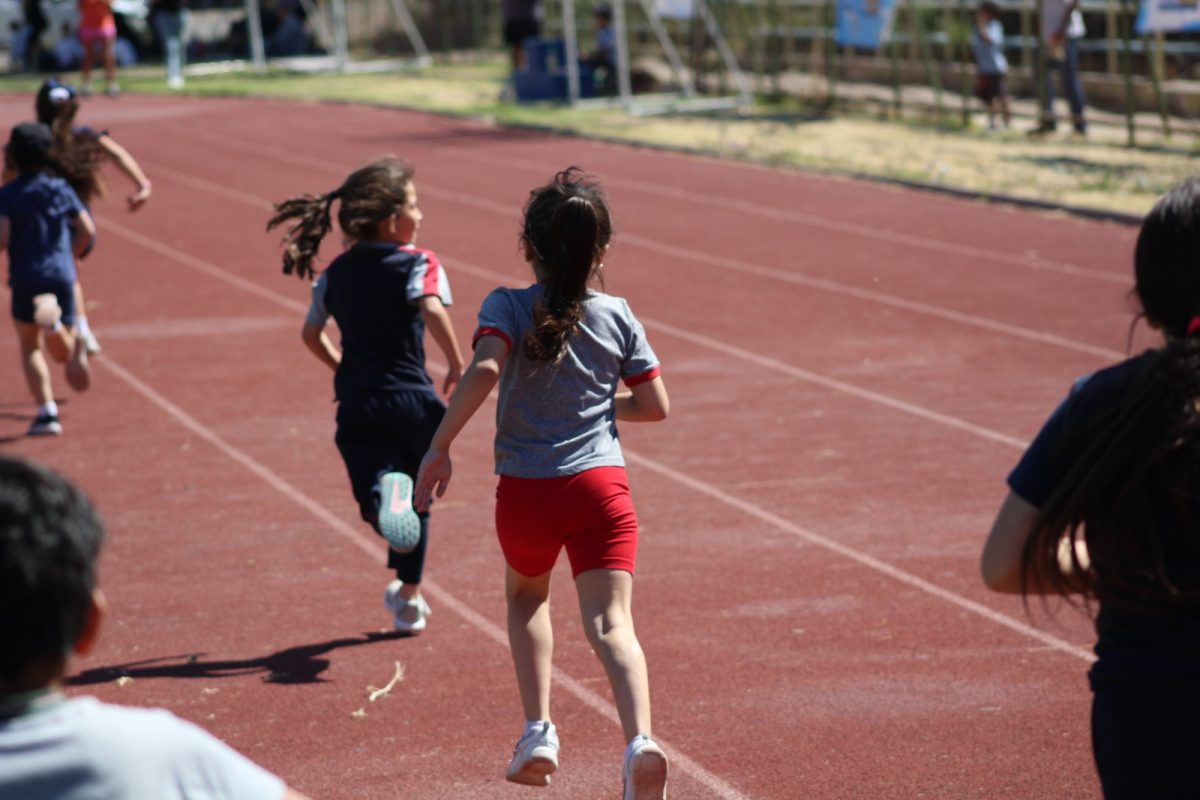 Gran desempeño de nuestros estudiantes en la última fecha de las Olimpiadas Boston Educa