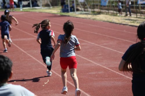 Gran desempeño de nuestros estudiantes en la última fecha de las Olimpiadas Boston Educa