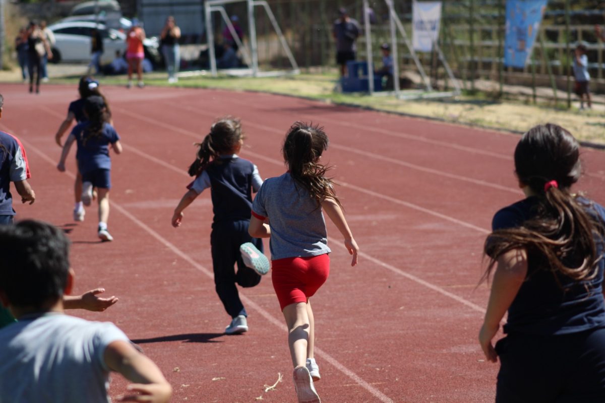 Gran desempeño de nuestros estudiantes en la última fecha de las Olimpiadas Boston Educa