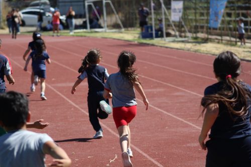 Gran desempeño de nuestros estudiantes en la última fecha de las Olimpiadas Boston Educa