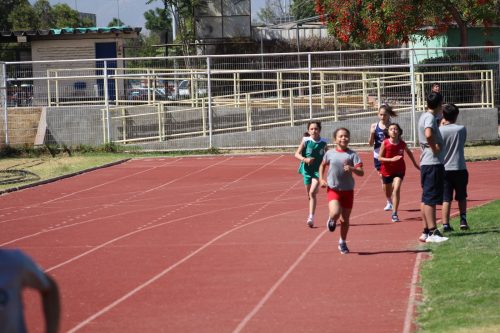 Gran desempeño de nuestros estudiantes en la última fecha de las Olimpiadas Boston Educa