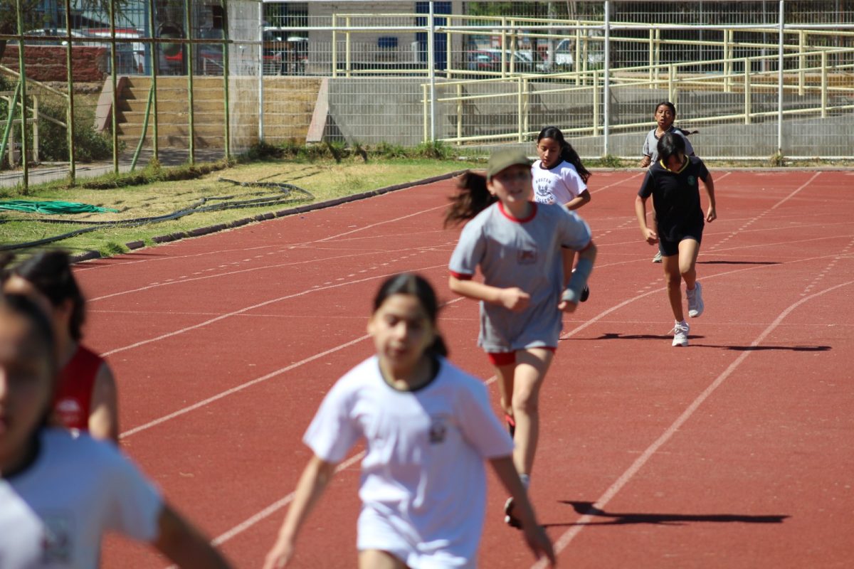 Gran desempeño de nuestros estudiantes en la última fecha de las Olimpiadas Boston Educa