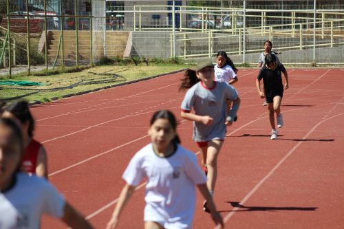 Gran desempeño de nuestros estudiantes en la última fecha de las Olimpiadas Boston Educa