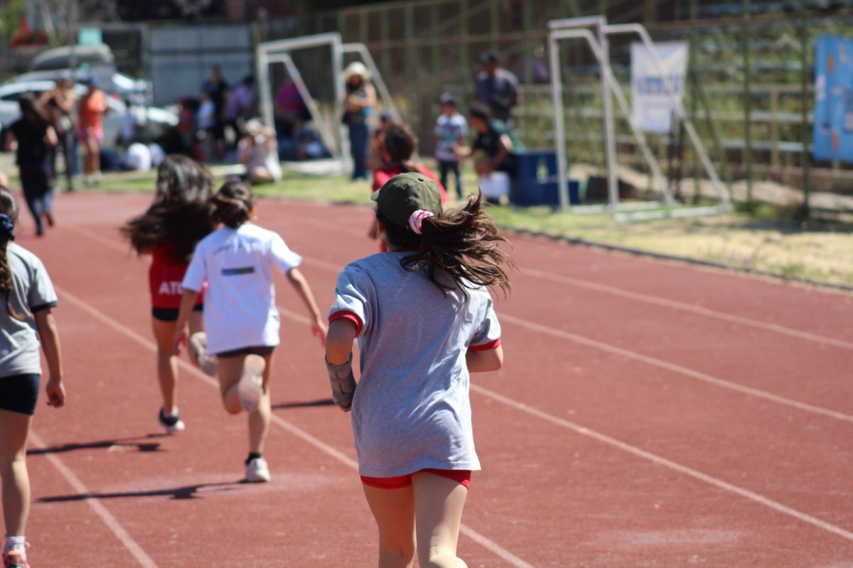Gran desempeño de nuestros estudiantes en la última fecha de las Olimpiadas Boston Educa