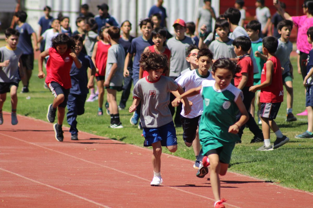 Gran desempeño de nuestros estudiantes en la última fecha de las Olimpiadas Boston Educa