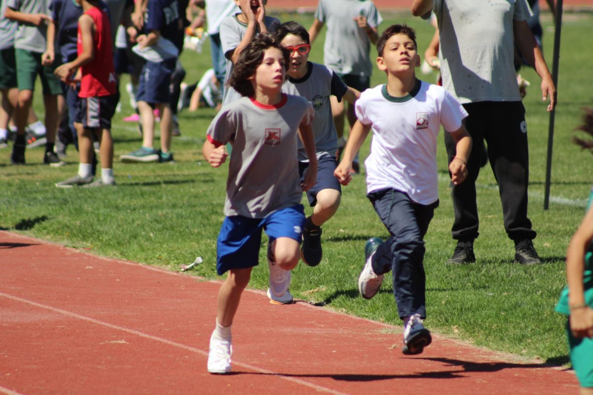 Gran desempeño de nuestros estudiantes en la última fecha de las Olimpiadas Boston Educa