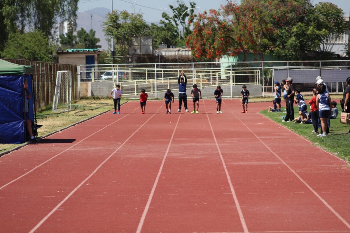 Gran desempeño de nuestros estudiantes en la última fecha de las Olimpiadas Boston Educa