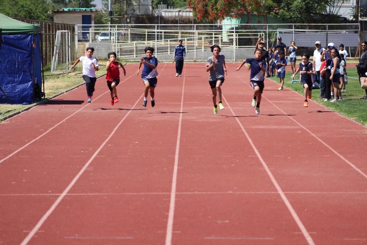 Gran desempeño de nuestros estudiantes en la última fecha de las Olimpiadas Boston Educa