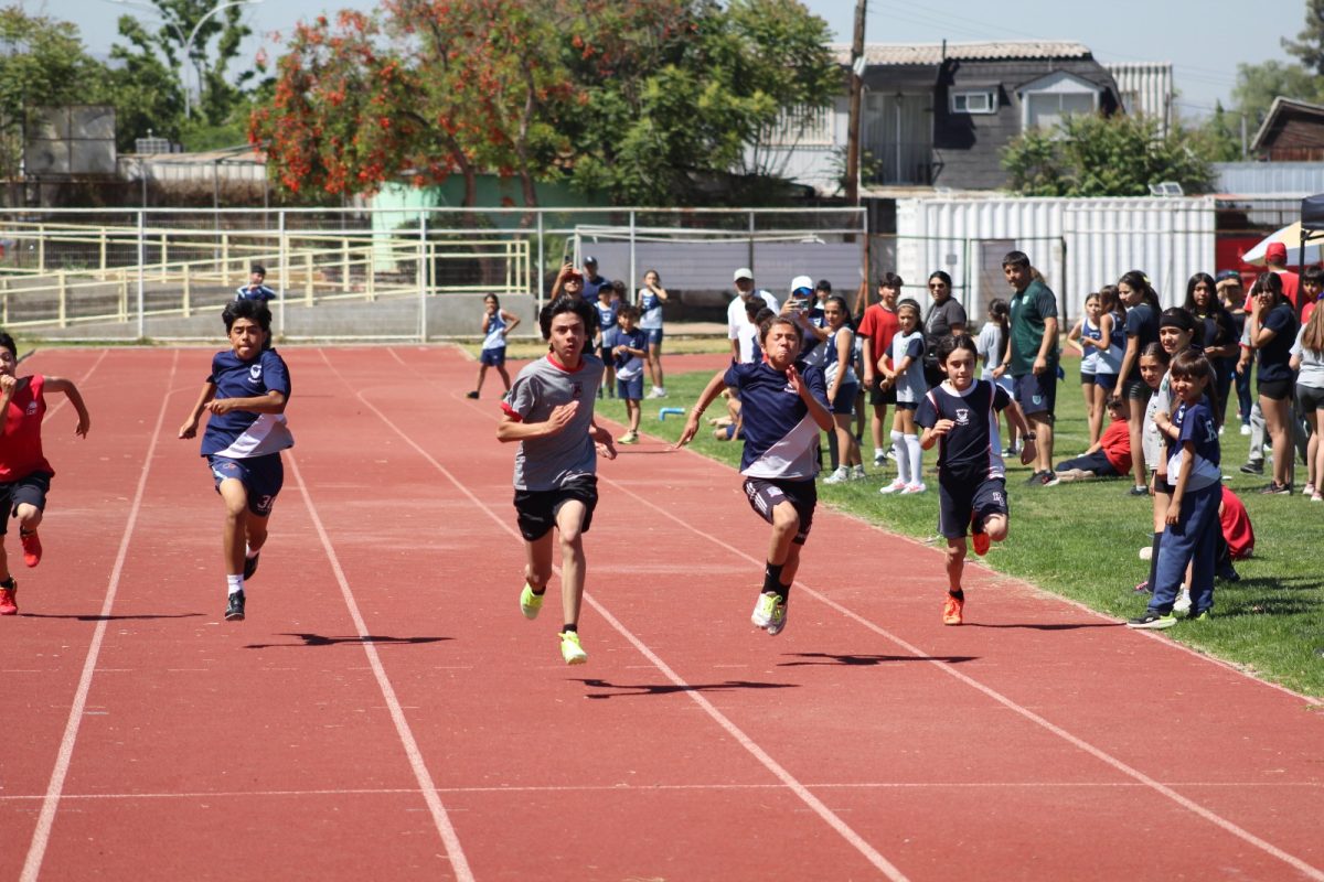 Gran desempeño de nuestros estudiantes en la última fecha de las Olimpiadas Boston Educa