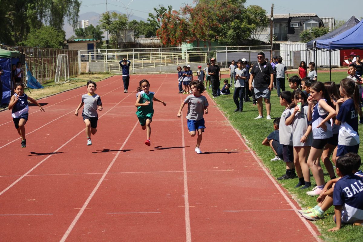 Gran desempeño de nuestros estudiantes en la última fecha de las Olimpiadas Boston Educa