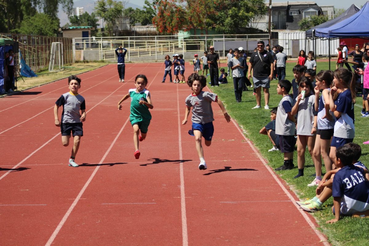 Gran desempeño de nuestros estudiantes en la última fecha de las Olimpiadas Boston Educa