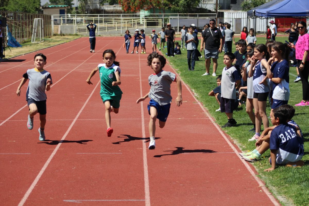 Gran desempeño de nuestros estudiantes en la última fecha de las Olimpiadas Boston Educa