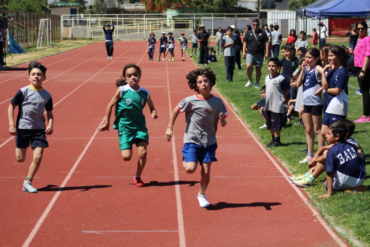 Gran desempeño de nuestros estudiantes en la última fecha de las Olimpiadas Boston Educa
