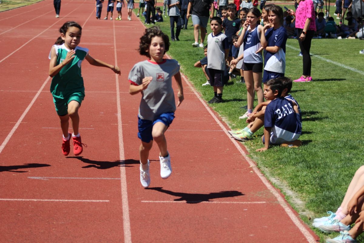 Gran desempeño de nuestros estudiantes en la última fecha de las Olimpiadas Boston Educa