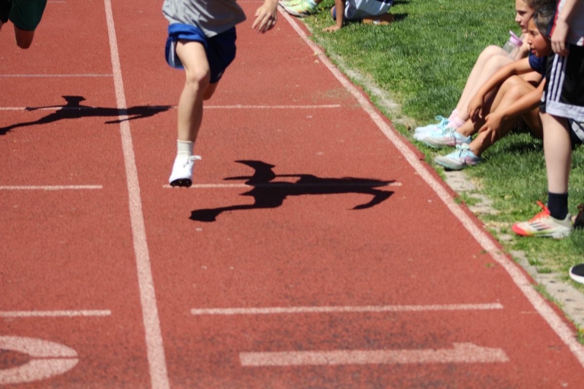 Gran desempeño de nuestros estudiantes en la última fecha de las Olimpiadas Boston Educa