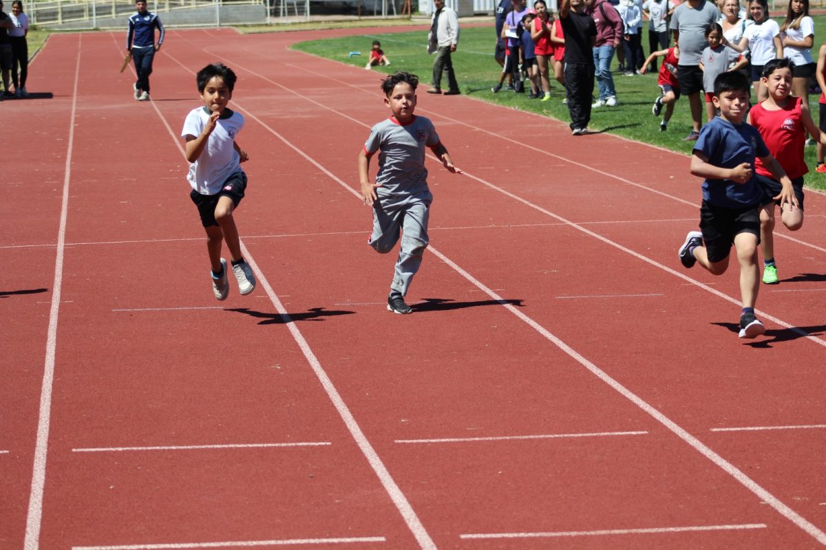Gran desempeño de nuestros estudiantes en la última fecha de las Olimpiadas Boston Educa