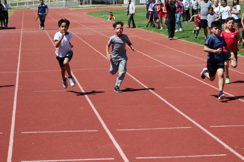 Gran desempeño de nuestros estudiantes en la última fecha de las Olimpiadas Boston Educa