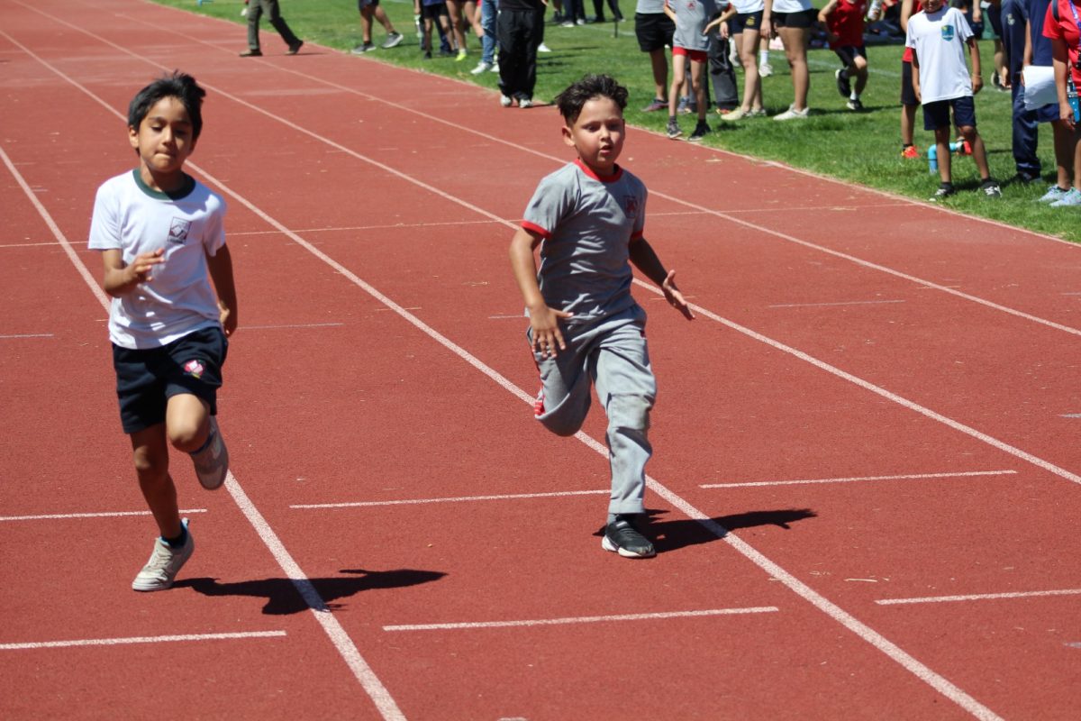 Gran desempeño de nuestros estudiantes en la última fecha de las Olimpiadas Boston Educa