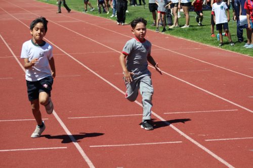 Gran desempeño de nuestros estudiantes en la última fecha de las Olimpiadas Boston Educa