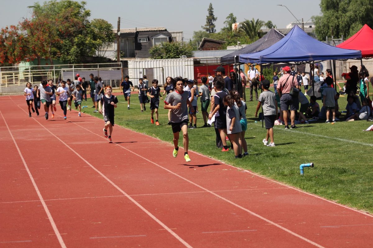 Gran desempeño de nuestros estudiantes en la última fecha de las Olimpiadas Boston Educa